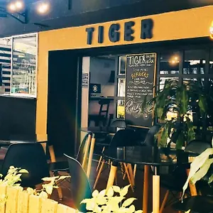 Hostel Tiger, Medellín
