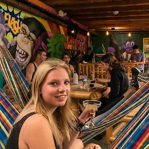 Purple Monkey Medellín