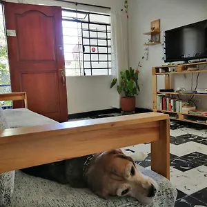 Selvática Medellín